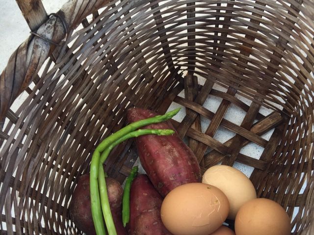 �����́A�����Ƃ�Ƃ��Ă��Ċ����I�������I_���l���򑫓��@�ق��Ƃӂ��ƂP�O�T