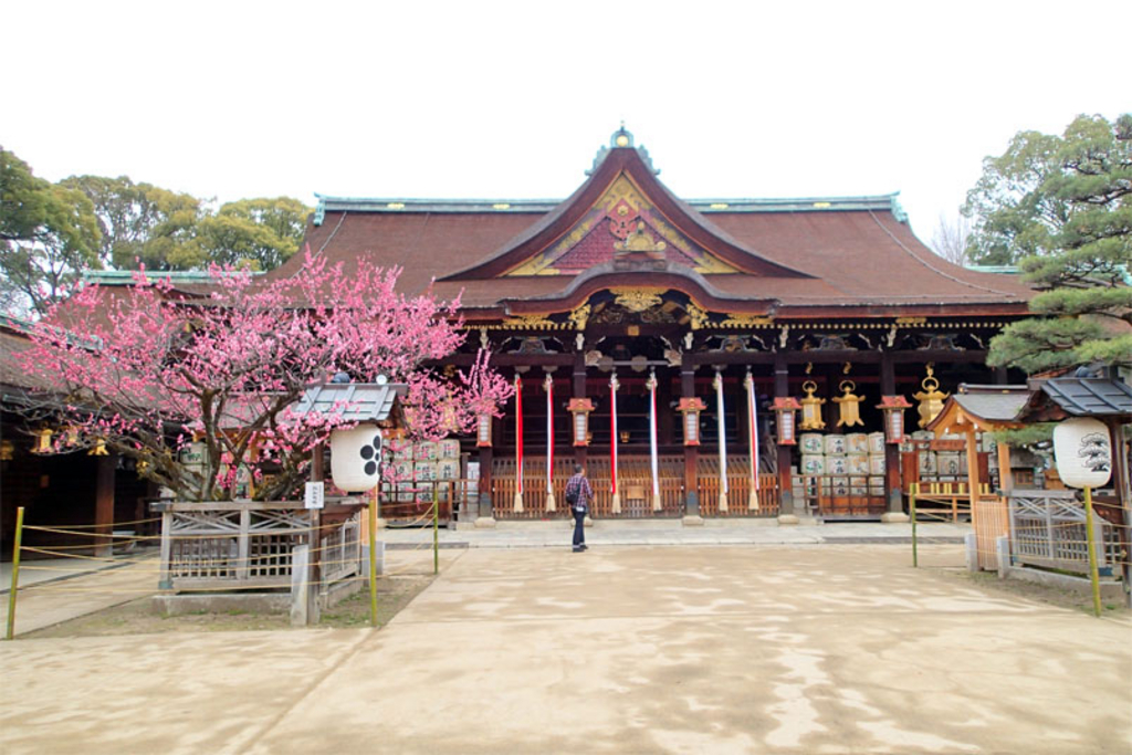 福岡の神社 神宮 寺院ランキングtop10 じゃらんnet