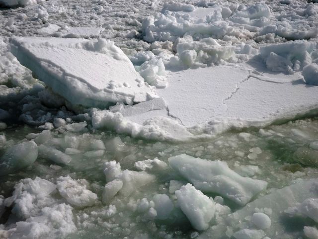 ���X_�I�z�[�c�N�C�̗��X