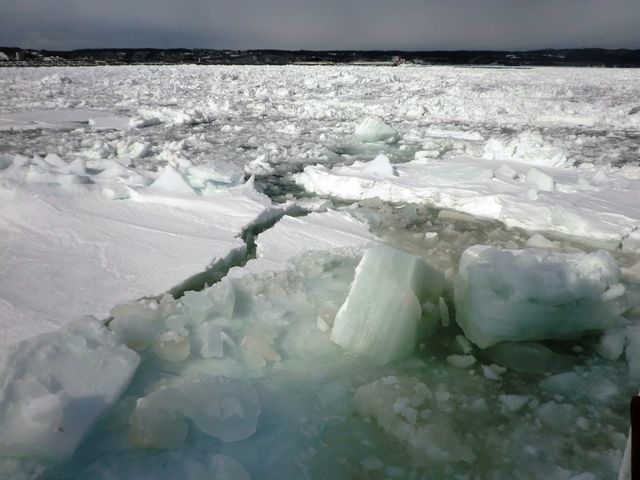 ���X_�I�z�[�c�N�C�̗��X