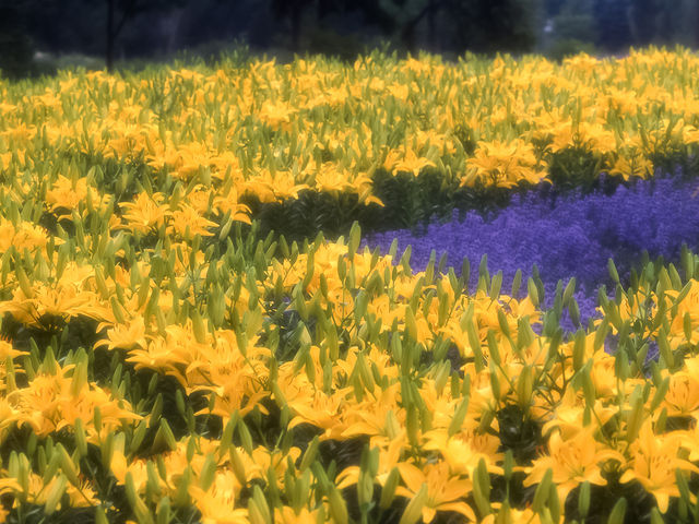 �S����������_�S����������