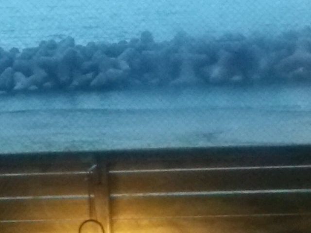 �C�ł�_�F������C�V�r�[�`�i���F������C������j