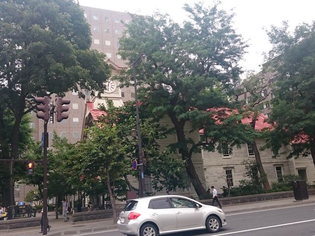 ���ڂ���_�D�y�s���v��