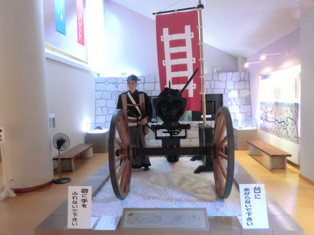 �K�g�����O�C_�͈�p�V���L�O��