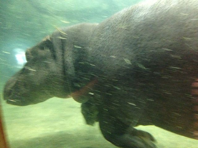 �����ẴJ�ow_���R������