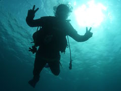 ۂ񂳂̉vKChNuւ̓eʐ^1