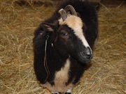 q񂳂́urƉ_̋uvÊ߂rق̓eʐ^4