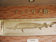 q񂳂̔[`EUق̓eʐ^1