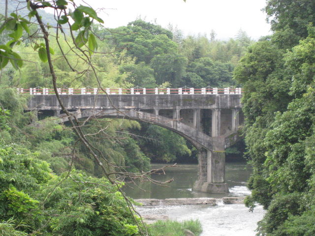 Ђł񂳂̌TCtH̓eʐ^1