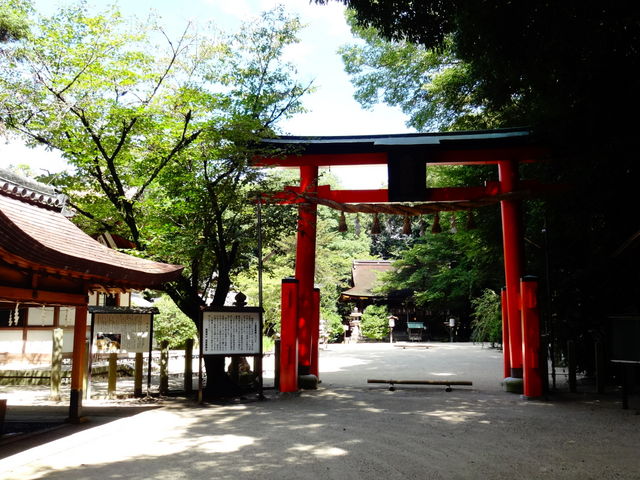 �L���_��_�L���_��