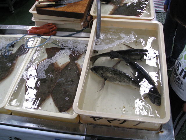 Ђł񂳂̌ܖ̎s̓eʐ^1