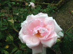 n[̃K[f~[WAbւ̓eʐ^3