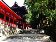 ���ǁ[����̐Ώ�_�{�̓��e�ʐ^1