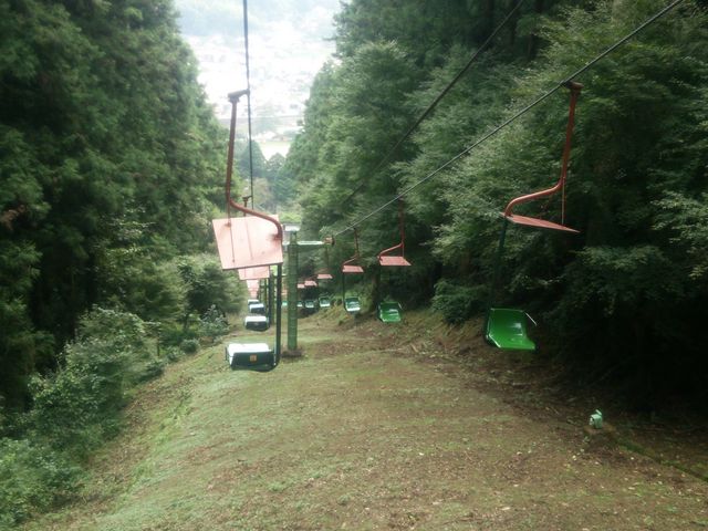 bq񂳂̒ØaՊόtg̓eʐ^1