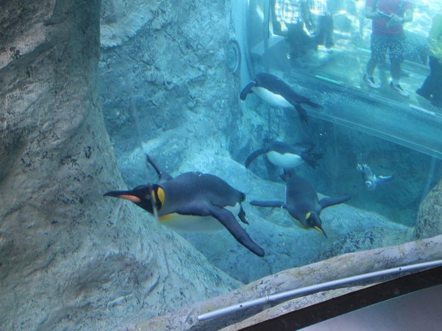 �y���M����_���R������