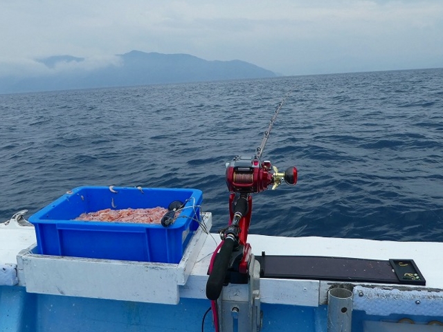 ���䌧�E���l��_���l�s�ό��ޑD�g��