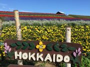 ankosan̂̃t@[̓eʐ^2