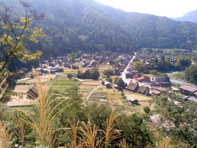 ���Ă��H_���E��Y���싽��������W��