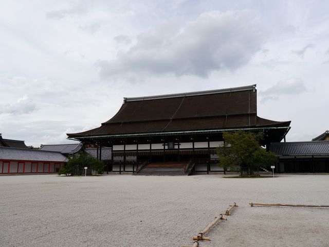 �����Ƌ߂��Ō����錚��������܂�_���s�䏊