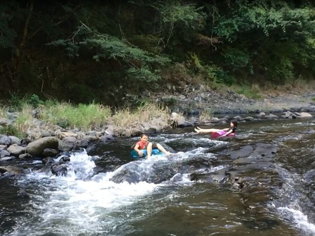 A̐󂢏ł̑?_̑i啪dj