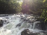 didi�������h�̈���i���������j�E�[��̓��e�ʐ^2