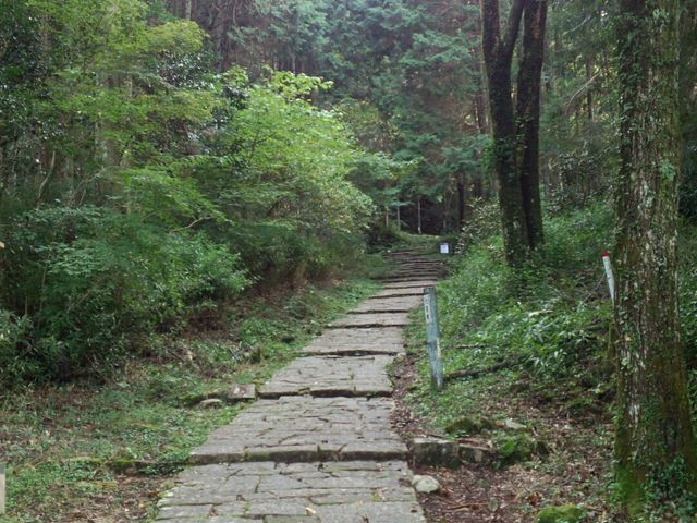 �{�ۂ܂Ŏ��S���[�g�������āB_�⑺���