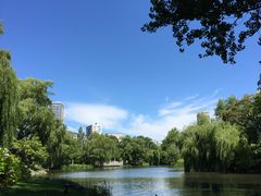 ���������̎ʐ^2