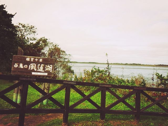 ���A�΁B������U��o����悤�Ȃ̂ŁA����́A�����Ă݂����ł��B_���̉w �X�����S�S�˂ނ�