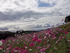 太陽の丘えんがる公園 虹のひろば アクセス 営業時間 料金情報 じゃらんnet