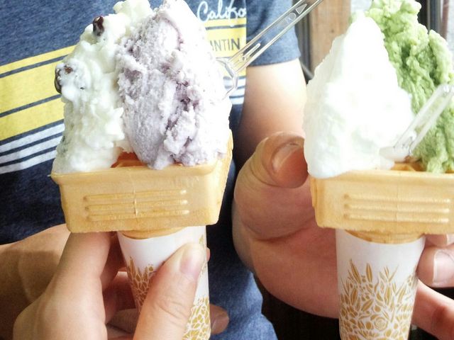 ojƖA[YƂԂǂ_MILK LAND FARM