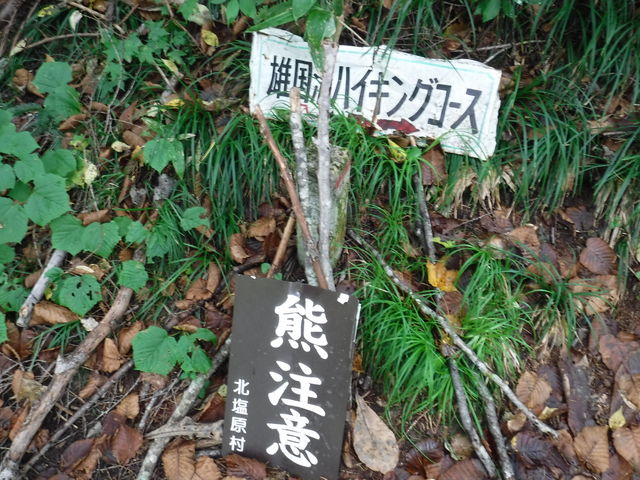 �F����_�Y���R