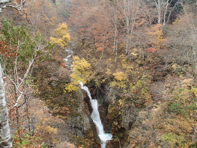 mami̎֕̑yHRz̓eʐ^1