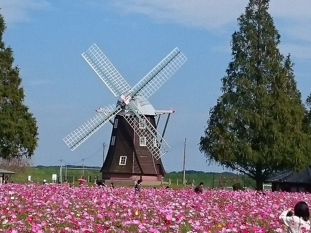 �����ڂ̎R�_�ƌ���