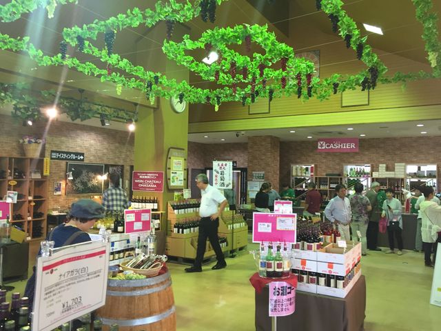 ����_���C���V���g�[�唗