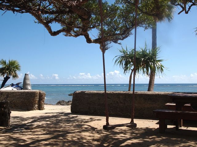 �����x�̍����r�[�`�B�g�����₩�ł���_�������]�[�g�΂���R��