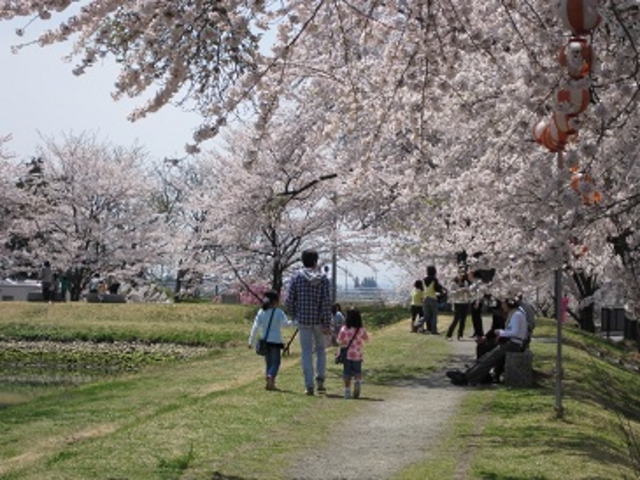 �U��_���̉w �ӂꂠ���p�[�N�쑽�̋� ������̍�