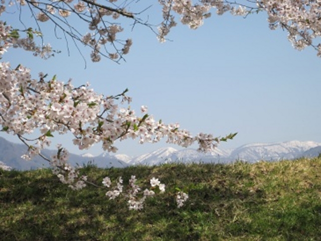 �іL�R�ƍ�_���̉w �ӂꂠ���p�[�N�쑽�̋� ������̍�