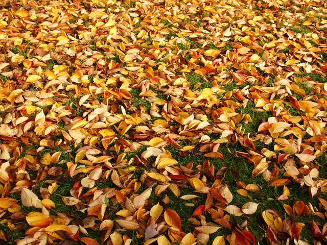 �����t�������������ł��B_��������