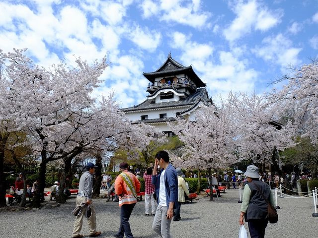 2015.4.4_城下町犬山