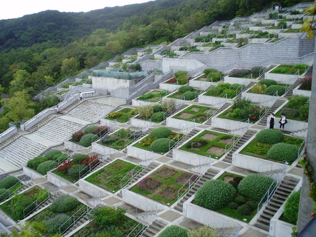 �W�H��������������E���킶�O���[����