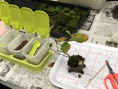 イڂ̏ȗ΂̃CeA@ۉւ̓eʐ^1