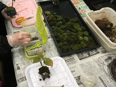 イڂ̏ȗ΂̃CeA@ۉւ̓eʐ^2