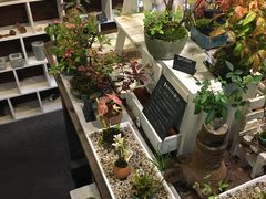 イڂ̏ȗ΂̃CeA@ۉւ̓eʐ^4