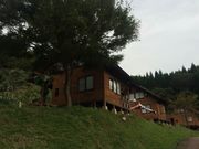 e-񂳂̃Ay[Y365iRe[Wj̓eʐ^4