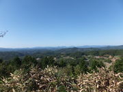 o_q̂Ƃ܂qR[LE^[̓eʐ^1