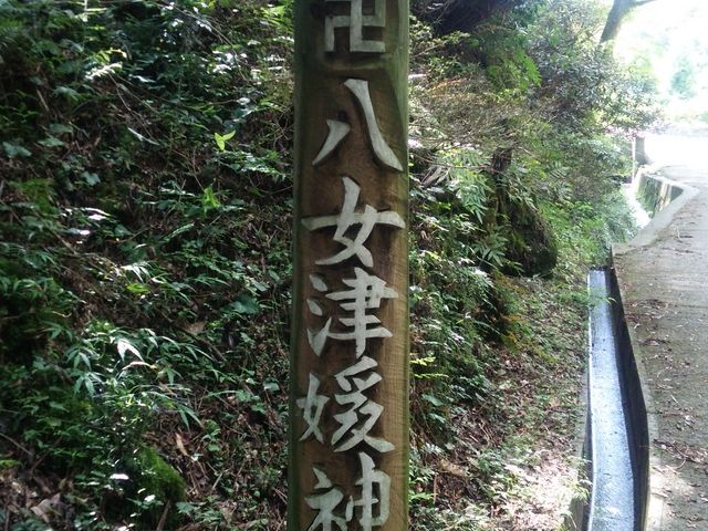 �ЕW�N���[�Y�A�b�v_�����ÕQ�_��