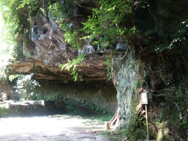 �_�A_�����ÕQ�_��