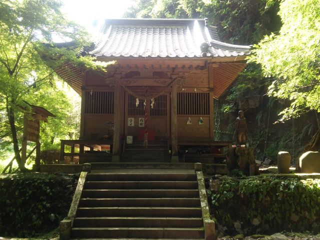 �q�a�E��Ɍ�_���A�v�w��_�����ÕQ�_��