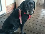 ۂ񂳂̃JtFBoiBoi̓eʐ^1