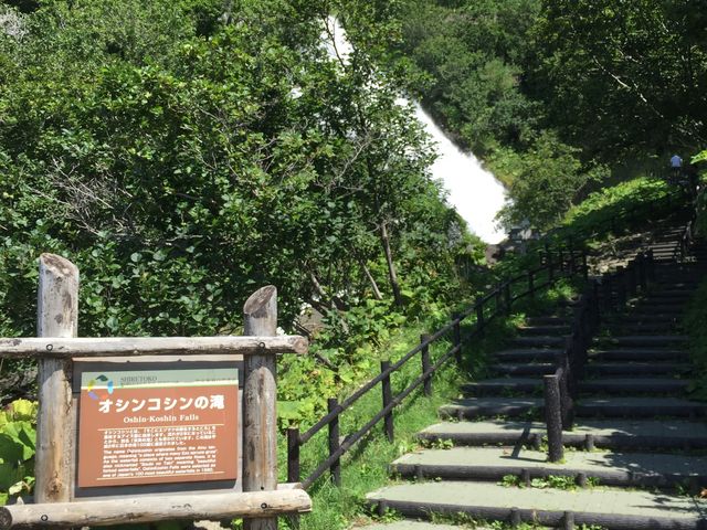 ͉Ăɍs̎ʐ^łB_IVRV̑